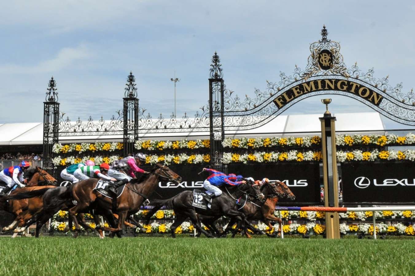 Melbourne Cup | Discover Melbourne