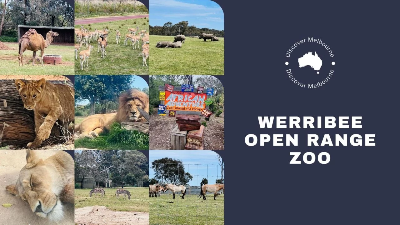 Werribee Open Range Zoo e1707915008505
