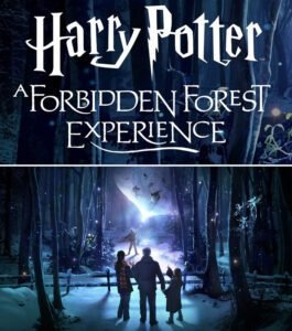 Harry Potter: A Forbidden Forest Experience In Melbourne | Discover ...